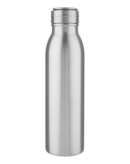 harper 700ml stainless steel sport bottle with metal loop