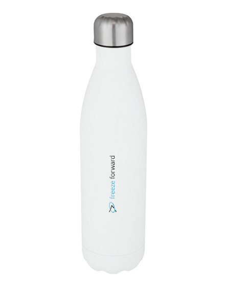 cove 750ml vacuum insulated stainless steel bottle