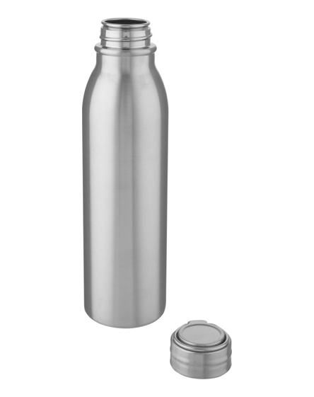 harper 700ml stainless steel sport bottle with metal loop